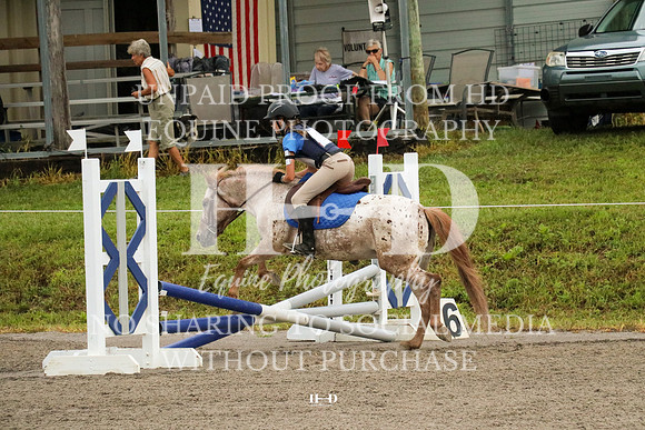 IMG_3734