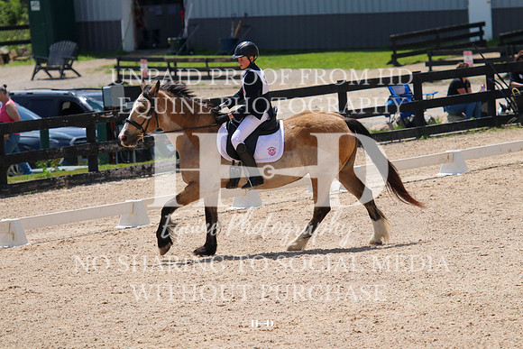 IMG_8699