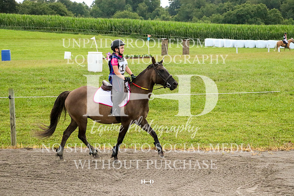 IMG_3504