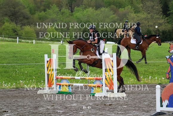 IMG_7341