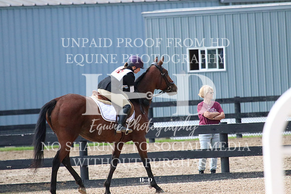 IMG_0173