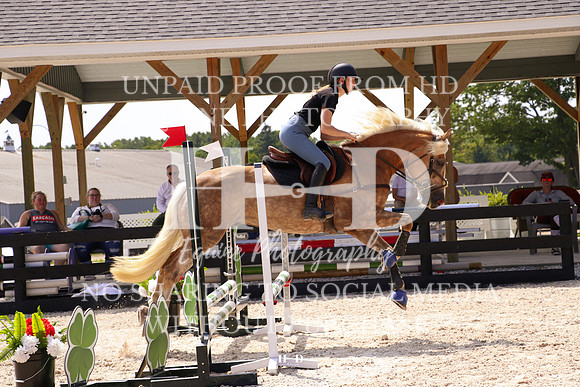 IMG_1336