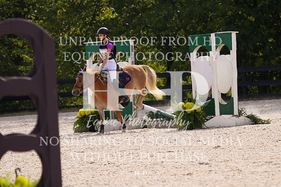 IMG_3385
